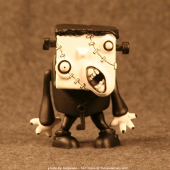Franky Front View